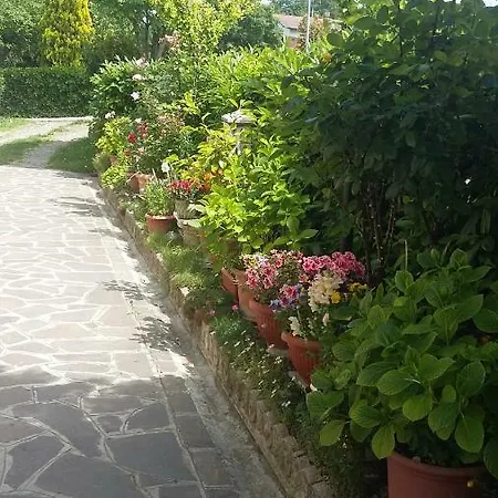 Ca' Donini *