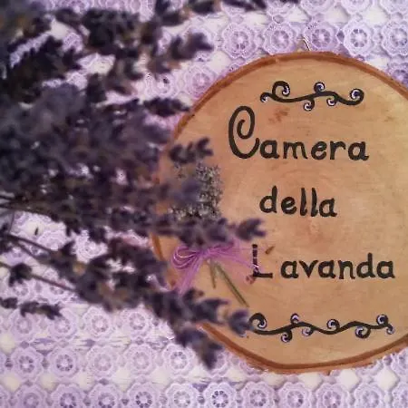 Ca' Donini *